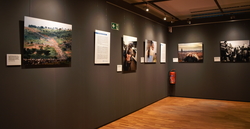 Ausstellung